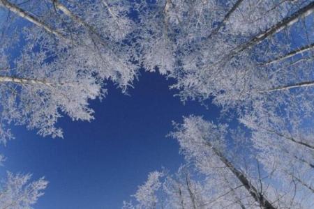 霜降来临之际，注意这几点保养很重要